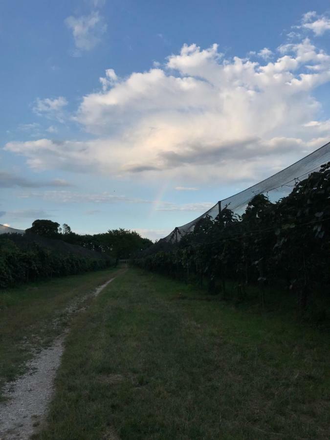 Al Bagolaro Bed & Breakfast Crocetta del Montello Exterior photo